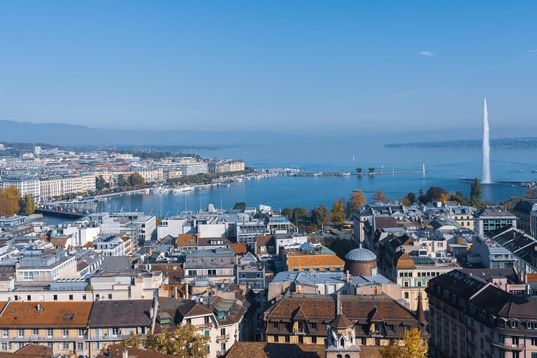 Agence traitement charpente Genève