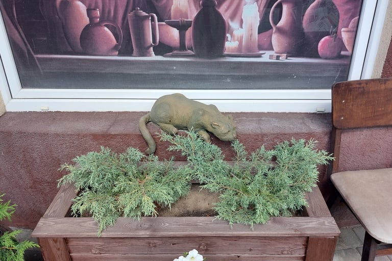 Cat statue at Sportivnaya 4A