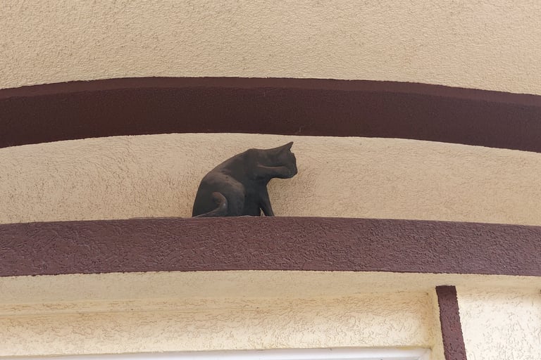 Cat statue at Sportivnaya 4A