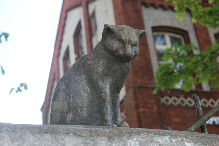 Cat statue at Kalinina 5