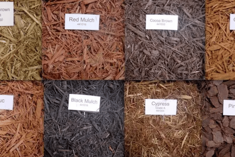 Showcase of different mulches