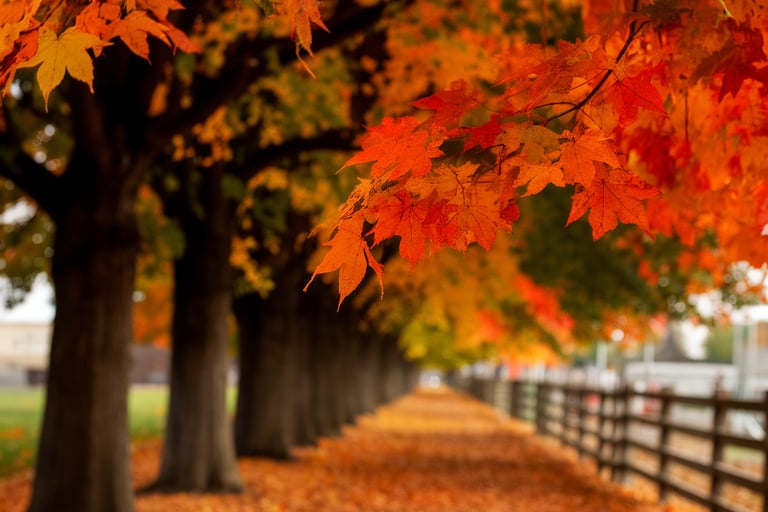Fall Landscape