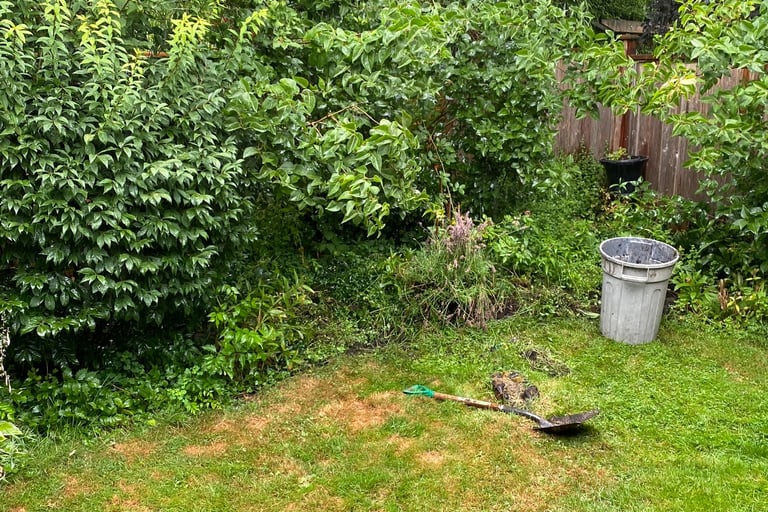browned and damaged lawn
