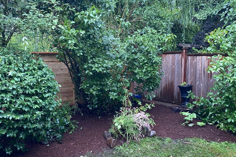 Mulched Garden Bed