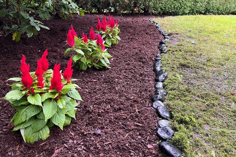 Flowers Red