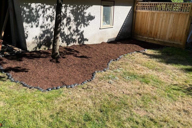 A tree with mulch around it