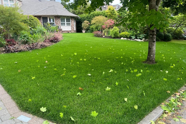 Alt Angle Front Yard Sod