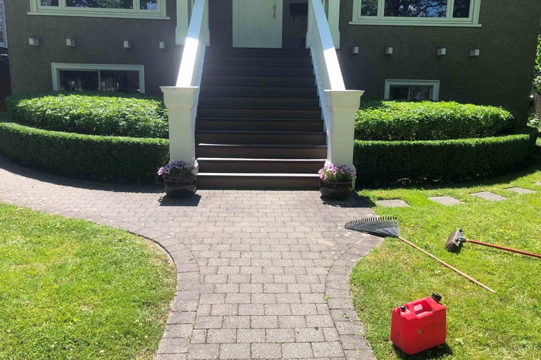 Front show of front lawn