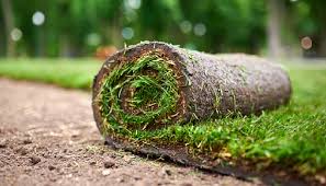Sod Roll for installation