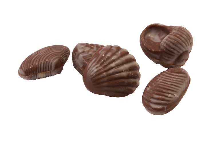 Zeevruchten chocolade