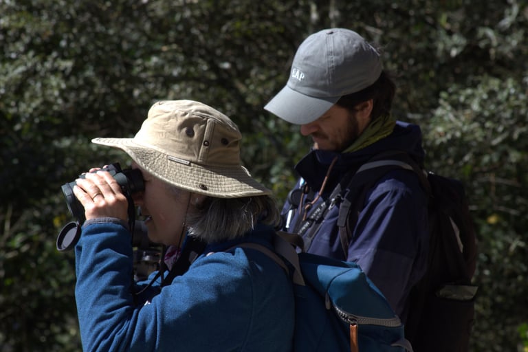 A birdwatcher wearing a hat looks through binoculars while Chiapas birding guide Valente takes notes