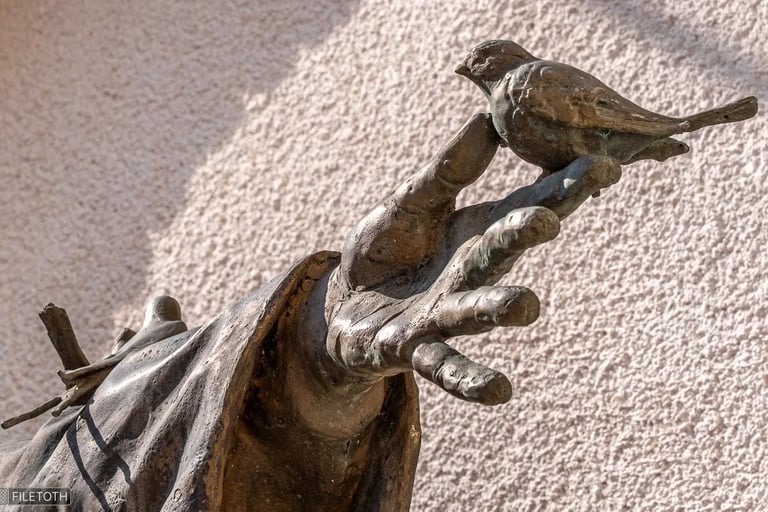Saint Francis’s hand gently holding small birds, sign of his care for all creatures.