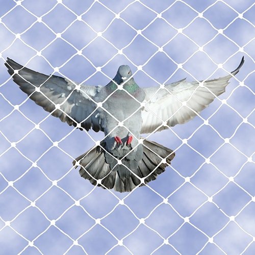 Bird Safety Net
