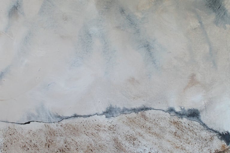Domptée par la douceur 60 x 73 cm 800 €