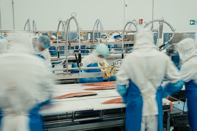 Travailleurs dans une usine agroalimentaire Réseau Le Saint