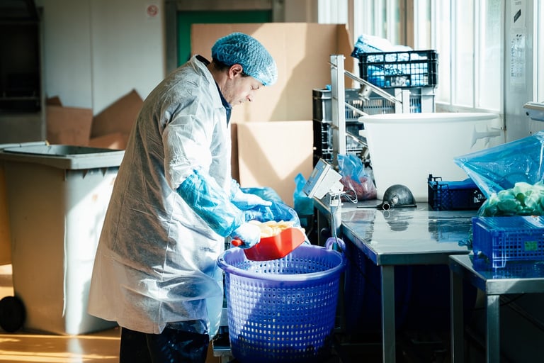 Traitement et conditionnement de légumes dans une entreprise agroalimentaire Réseau Le Saint