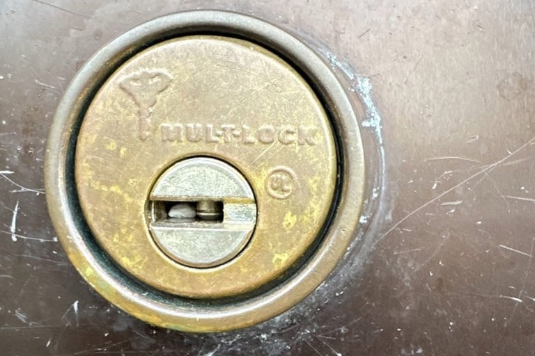Mul-T-Lock high-security commercial door lock cylinder