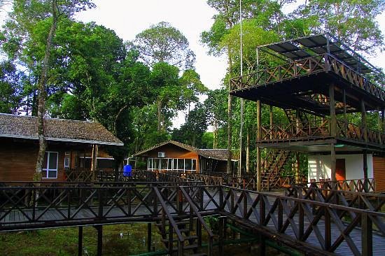 Borneo Nature Lodge, Kinabatangan, Sandakan
