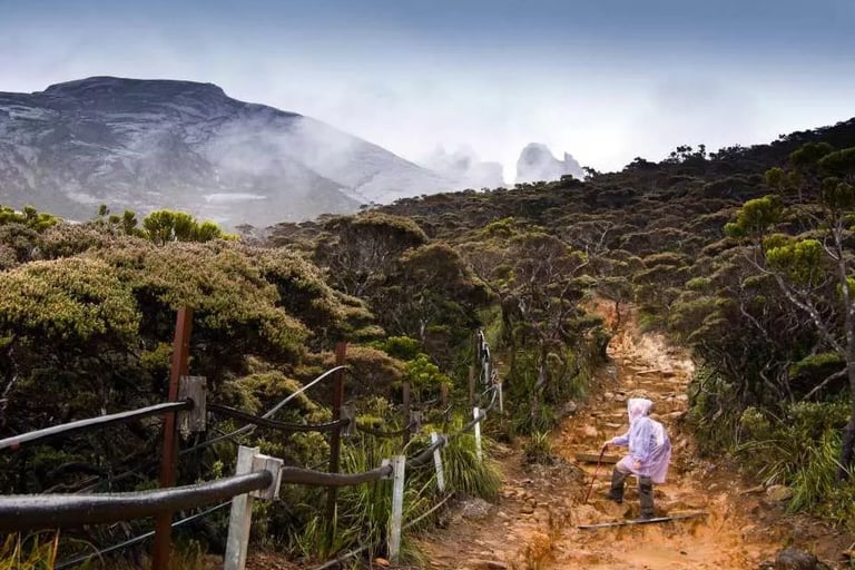Ascending Mount Kinabalu
