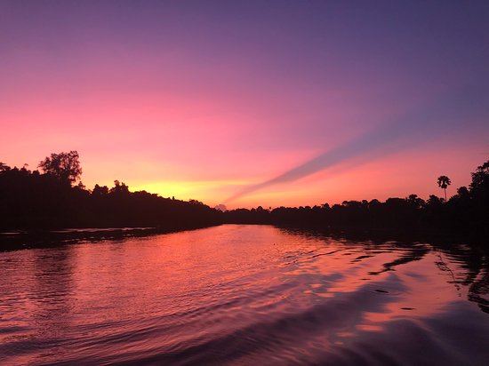 Kinabatangan River evening cruise