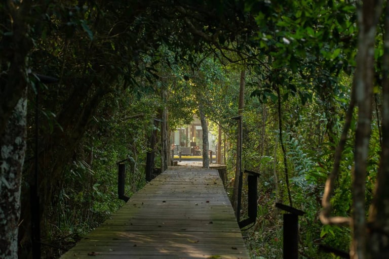 A lovely view at the luxurious Kinabatangan Wetlands Resort