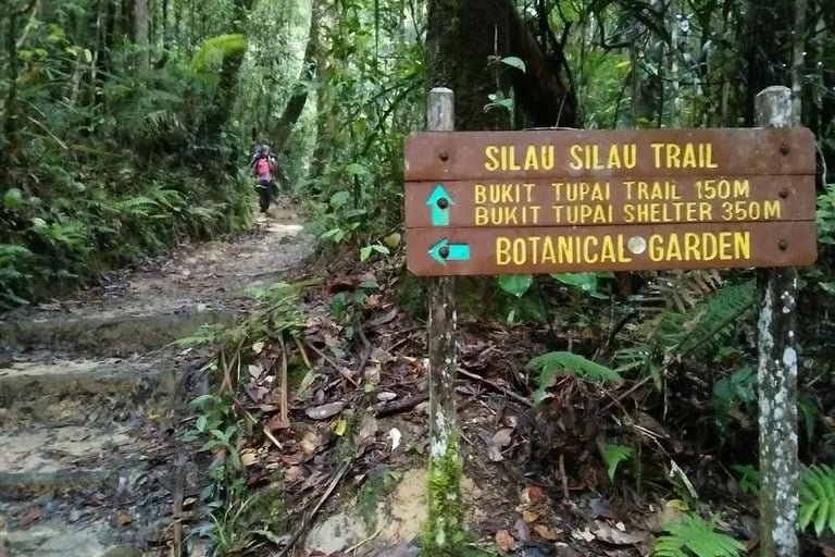 Nature trails at Kinabalu Park
