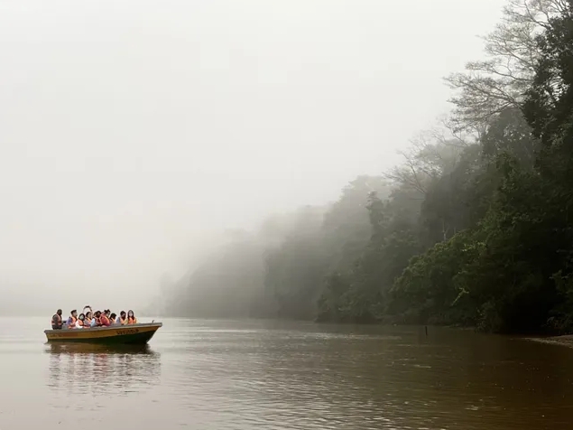 Wildlife river cruise on the Kinabatangan River