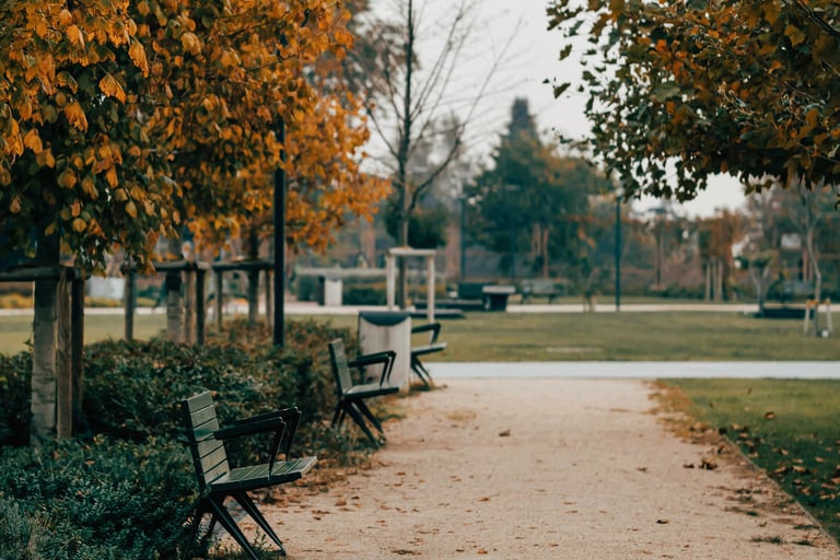 Slow living journal scene of a park path during seasonal transition
