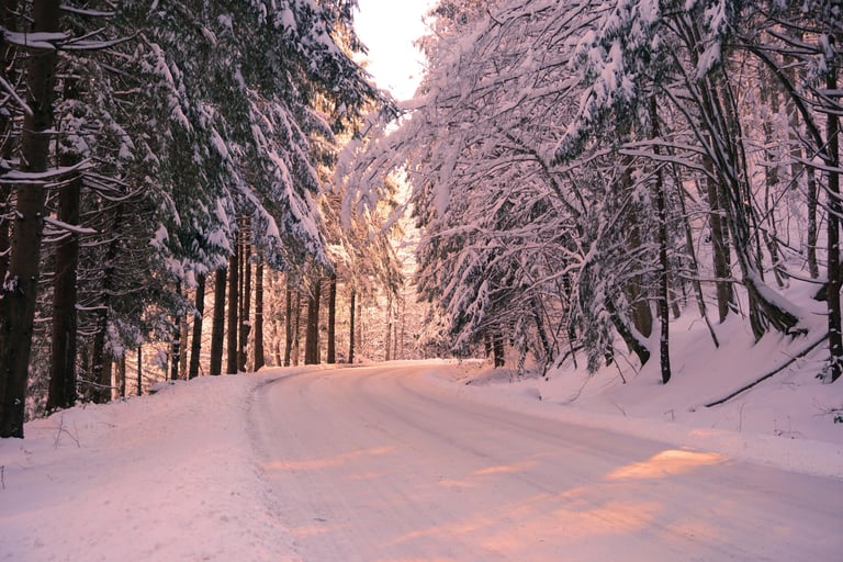 Snow-covered road through winter trees in soft light, slow living winter