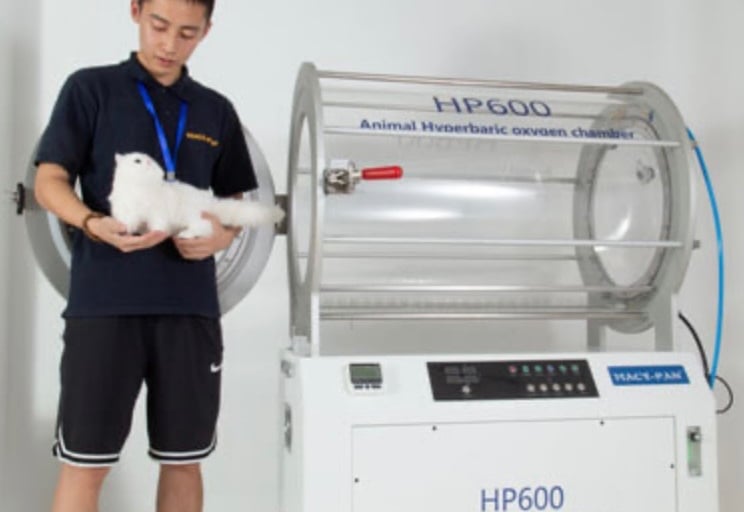 Oxigenoterapia en cámara hiperbárica veterinaria