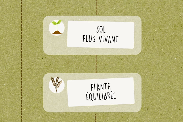 Solutions naturelles pour sols vivants, élevages sains et fermes durables en Aveyron