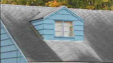 A brief overview of identifying the Algae, Moss, Lichen and Fungus Growth that may be growing on your roof