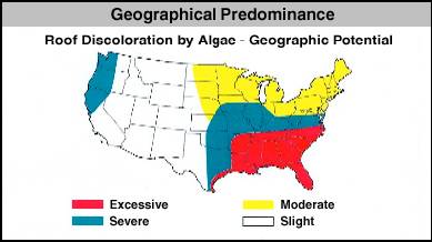 A brief overview of identifying the Algae, Moss, Lichen and Fungus Growth that may be growing on your roof