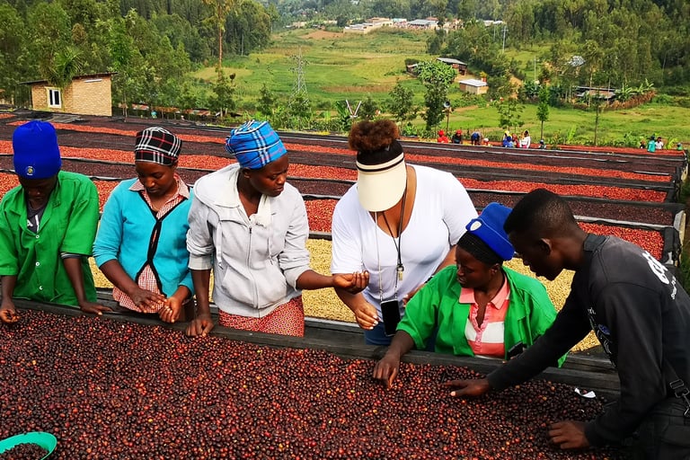 a group of people standing around a table with coffee beans