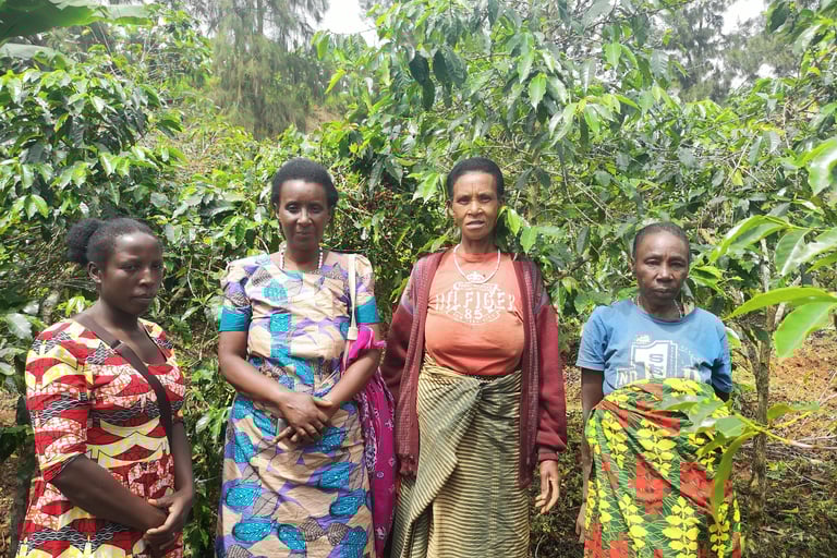 a group of women farmers standing in front of a coffee tress