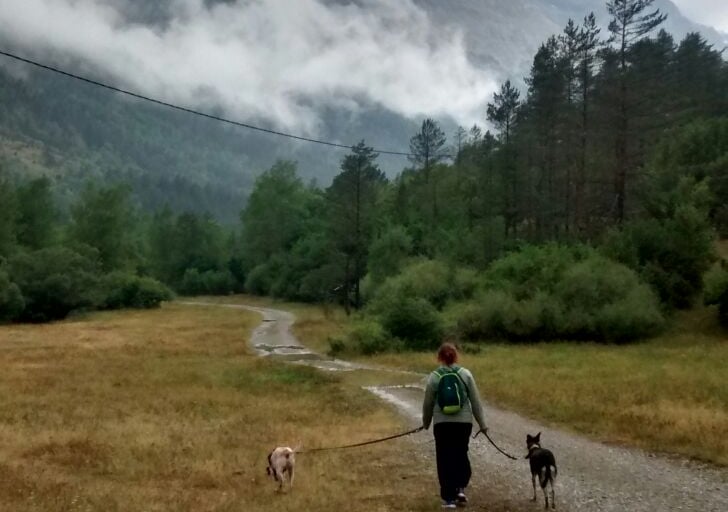 Paseo en la naturaleza con mis perros