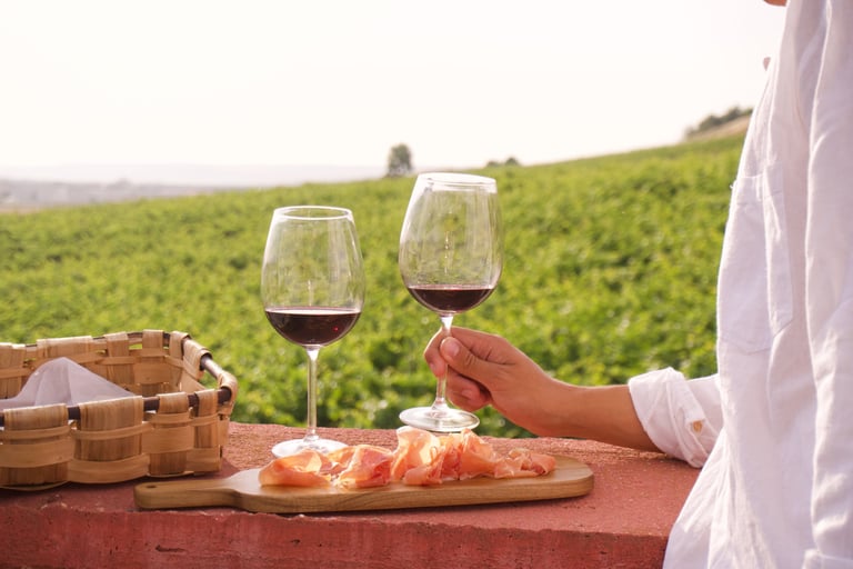 wine and jamon meal over vineyard