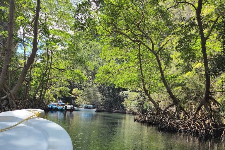 Les incontournables de Miches