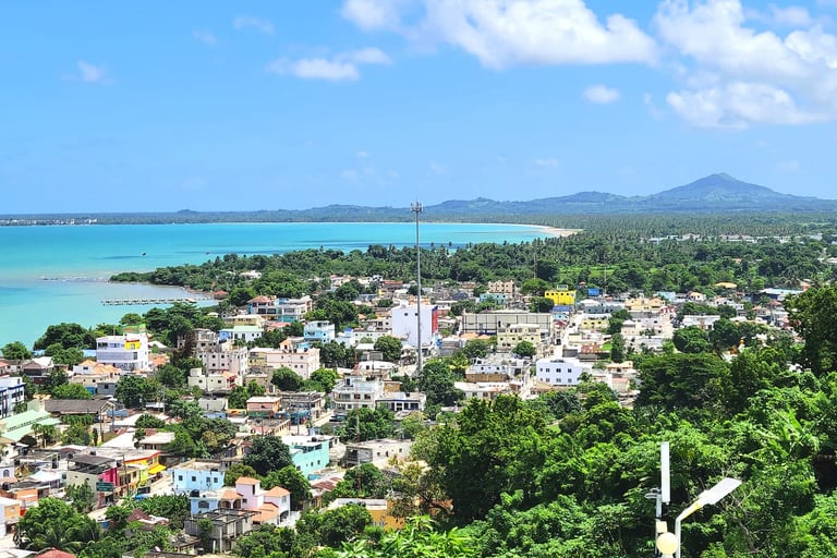 Miches vs autres des Caraïbes