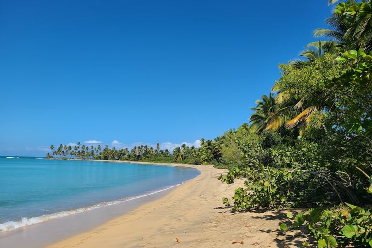 Miches unique : des dizaines de kms de plages vierges