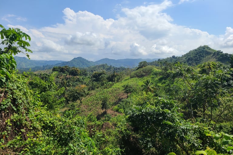 Miches unique : des chaines de montagnes a perte de vue