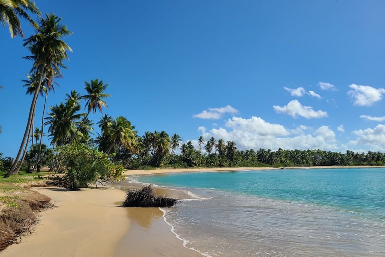 Miches une destination pour investir