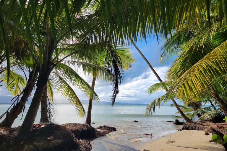 Pourquoi les investisseurs choisissent Miches