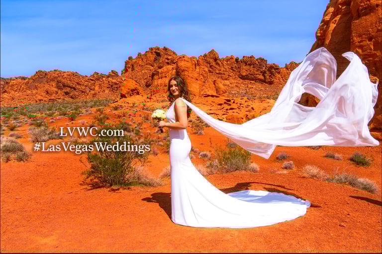 a woman in a white dress with a veil on her wedding day