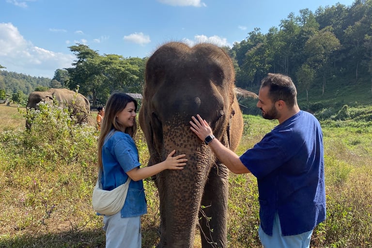 couple,  travel,  Thailand, love, elephant, elephant sanctuary