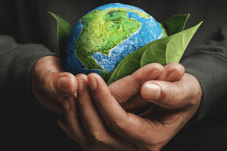 a person holding a green leafy globe