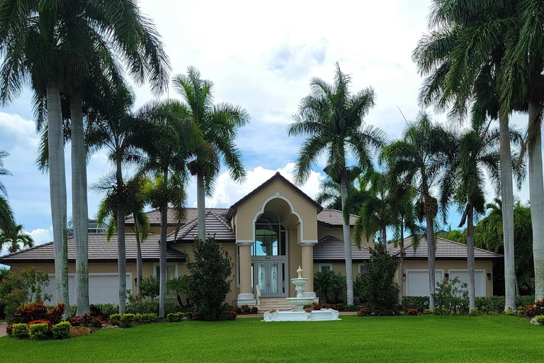 a house with a large lawn and palm trees