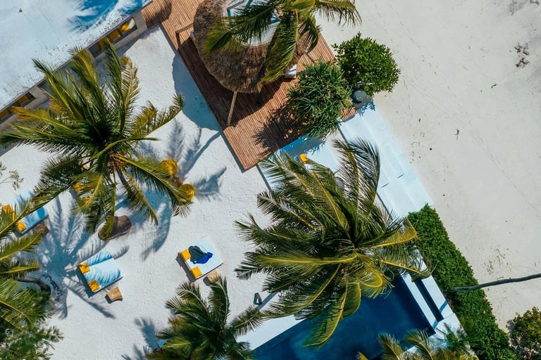 a pool with palm trees and a swimming pool