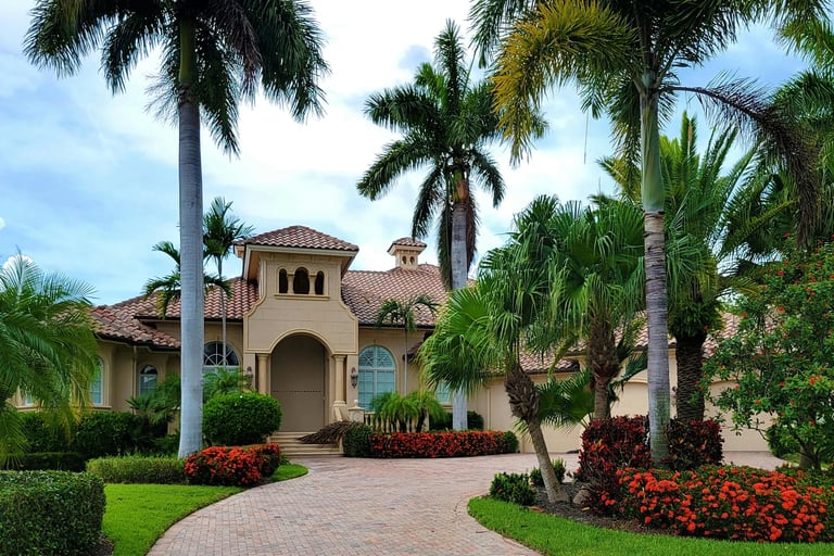 a house with a driveway and palm trees