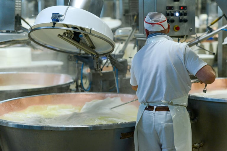 Cheesemaker stirring large copper vats of curdling milk during artisanal cheese production in a dairy.